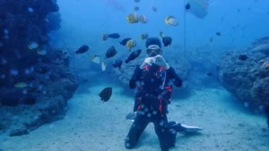派大星潛水／浮潛 Patrick Diving／Snorkeling
