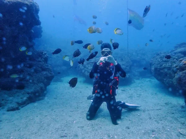 派大星浮潛 派大星潛水/浮潛 Patrick Diving/Snorkeling